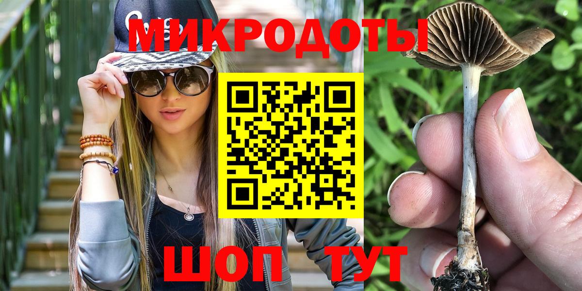 Галлюциногенные грибы Cubensis Сорочинск